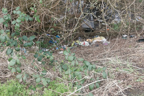 Rubbish in Rainham Village